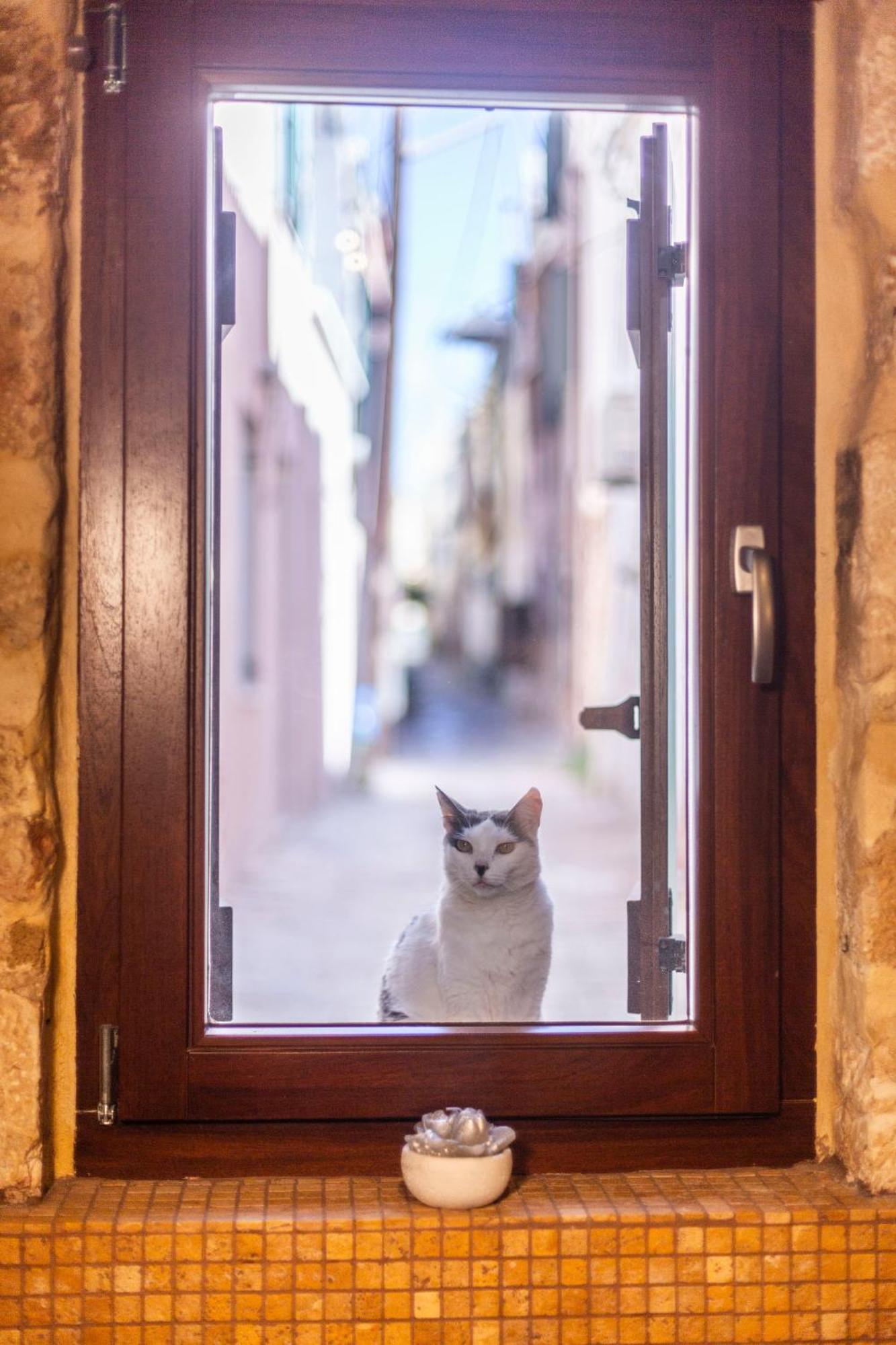 Athena'S House Appartement Chania  Buitenkant foto